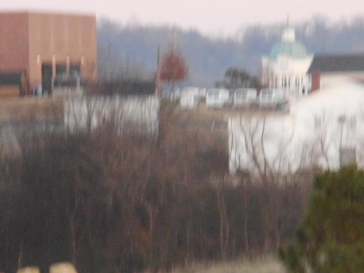 Giles Hotel Inn And Suites Pulaski Εξωτερικό φωτογραφία